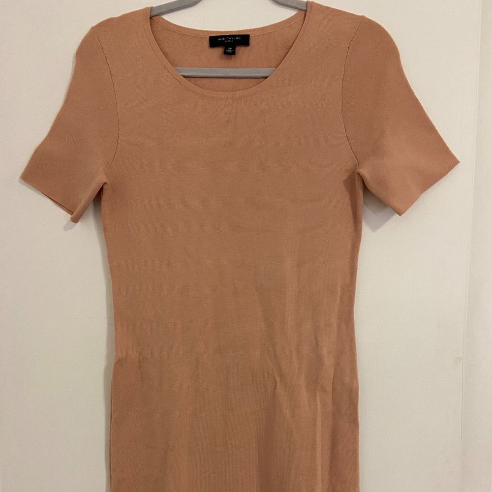 Ann Taylor Blush/Pink Floral Dress in SP